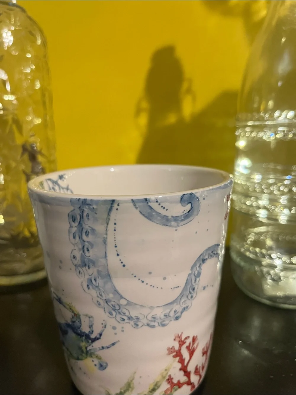 Pier 1 Ironstone Sea Life oversized mug